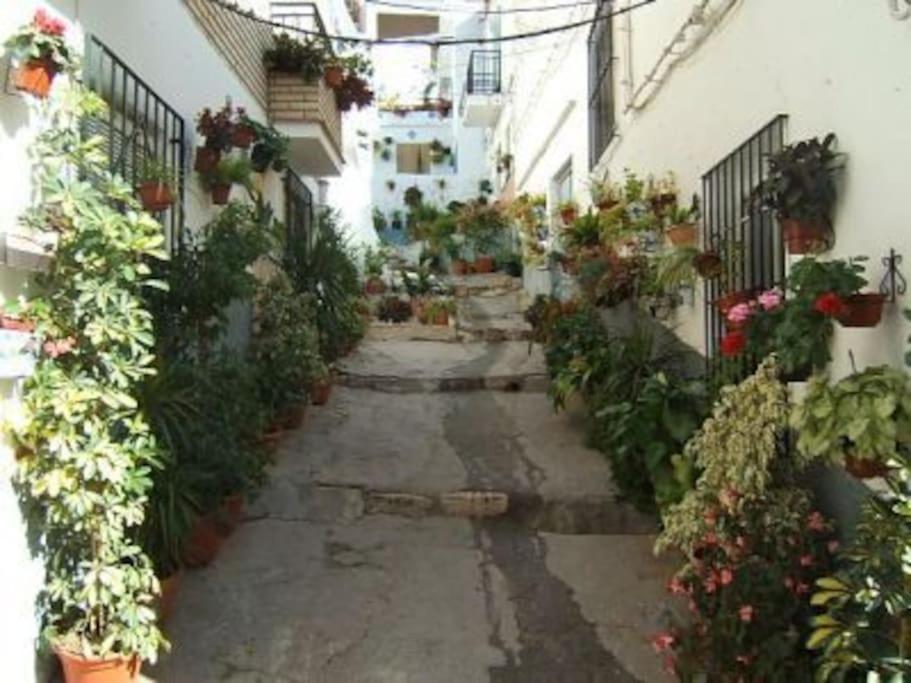 Boutique Style Apartment In Velez De Benaudalla - Near Salobrena Kültér fotó
